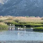 View Of Flamingos Apartmán Shëngjin