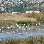View Of Flamingos Apartmán