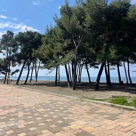 Apartment View Of Flamingos *