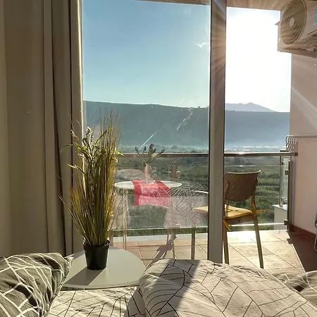 Apartment View Of Flamingos