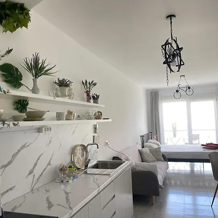 View Of Flamingos Apartment