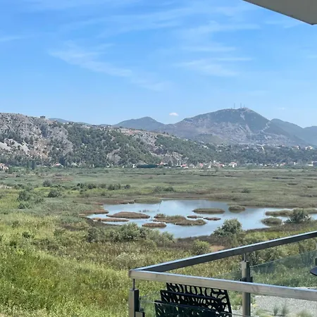 View Of Flamingos