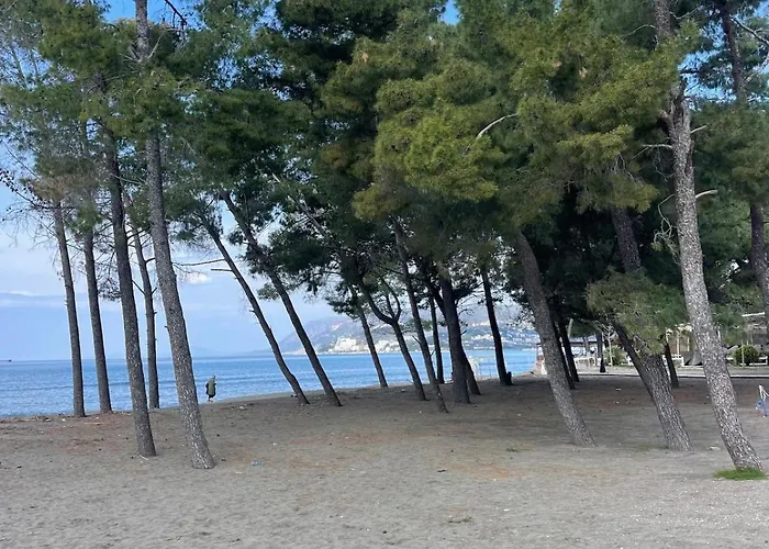 公寓 View Of Flamingos Shëngjin