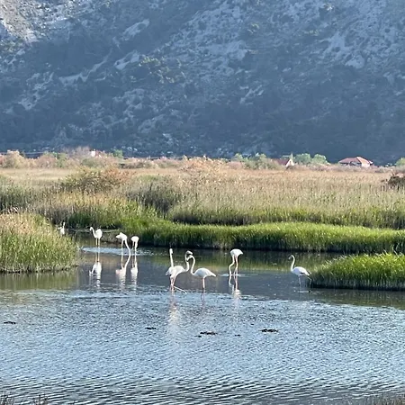 View Of Flamingos Appartement Shëngjin