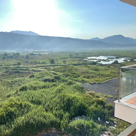 View Of Flamingos *