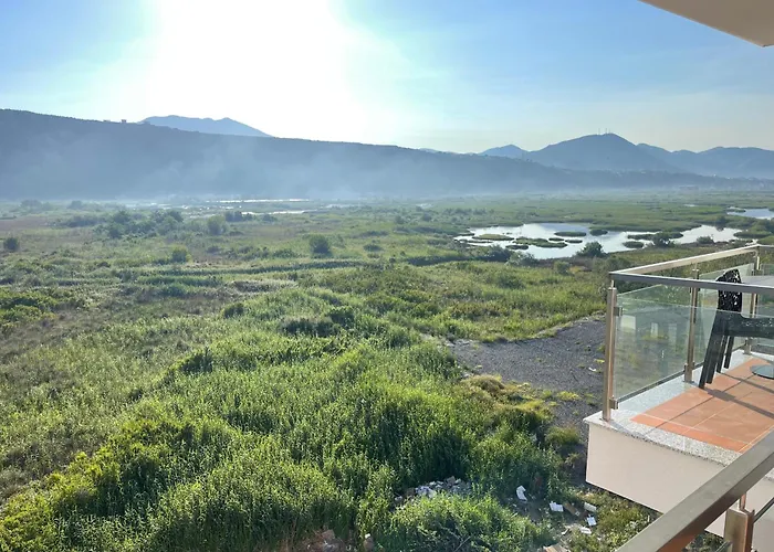 View Of Flamingos *