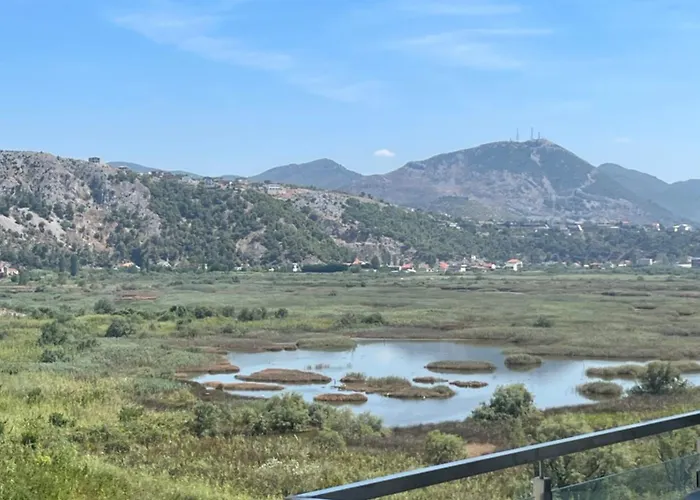 View Of Flamingos